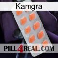 Kamgra 26